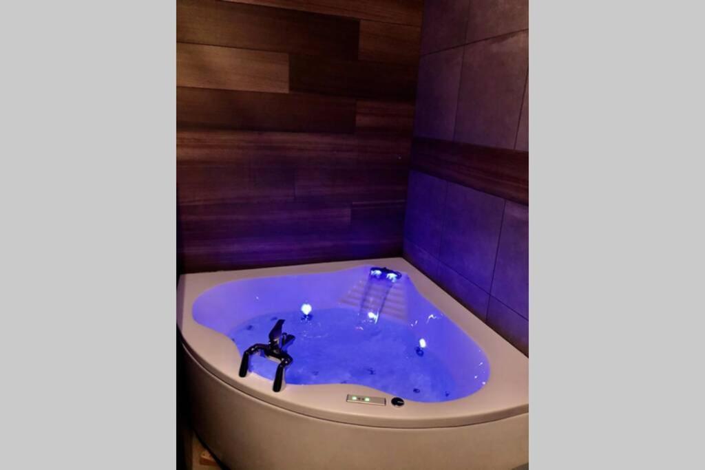 Studio Cocooning Spa, Lit Xxl, Cour Exterieure Le Puy-en-Velay Exterior foto